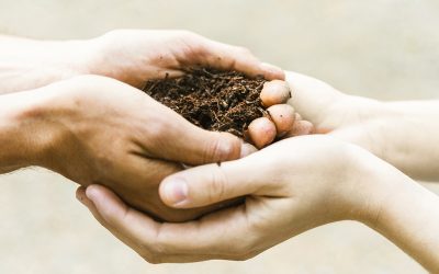 Nuevo curso: “Cultivo de la compasión para miembros de equipos sociosanitarios”