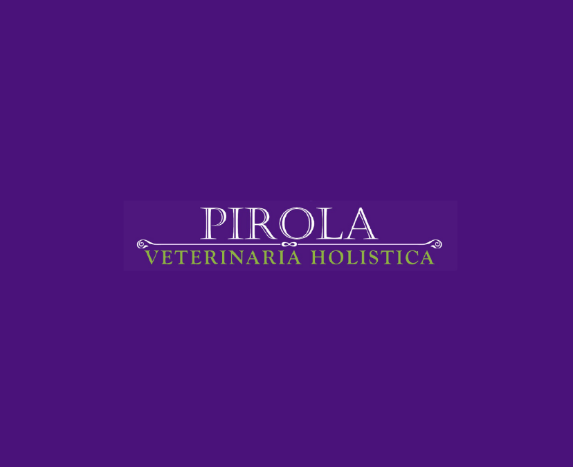 Pirola
