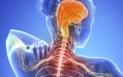La voz de la persona en las decisiones sobre su cuidado: qué aporta una investigación sobre esclerosis lateral amiotrófica (ELA)